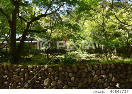 法多山尊永寺 袋井市 法多山尊永寺 袋井市 40845737