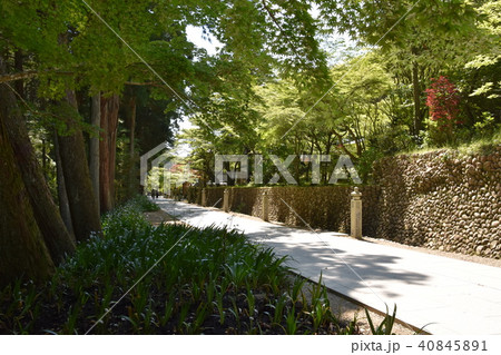 法多山尊永寺 袋井市 法多山尊永寺 袋井市 40845891