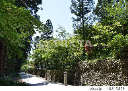 法多山尊永寺 袋井市 法多山尊永寺 袋井市 40845893