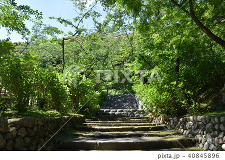 法多山尊永寺 袋井市 法多山尊永寺 袋井市 40845896