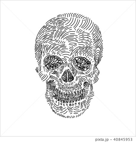 Drawing of skull on white 40845953