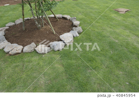 芝一面の庭園 40845954