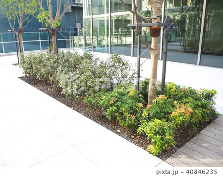 ムスブ田町 40846235