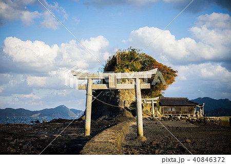 都々智神社(長崎県対馬市) 都々智神社(長崎県対馬市) 40846372