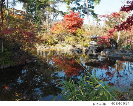 水面に映る紅葉 40846914