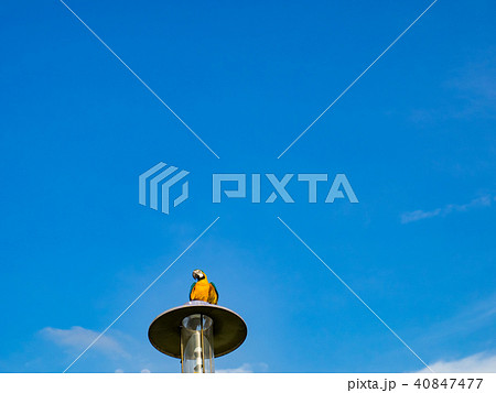 台湾 台北 台北市 40847477