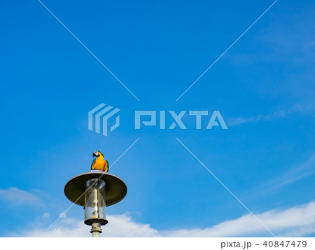 台湾 台北 台北市 40847479