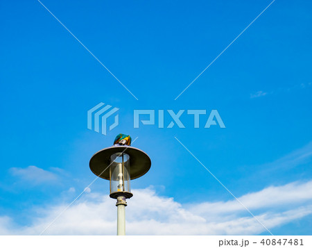 台湾 台北 台北市 40847481