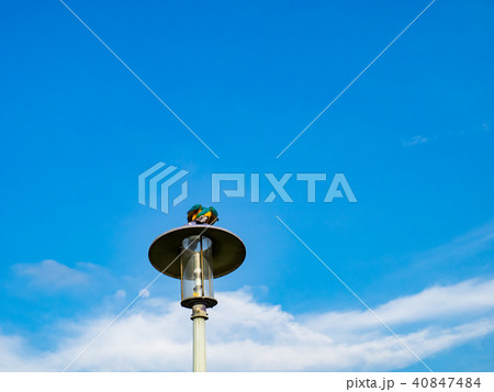 台湾 台北 台北市 40847484