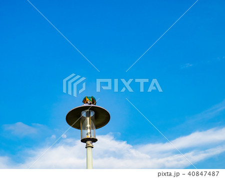 台湾 台北 台北市 40847487