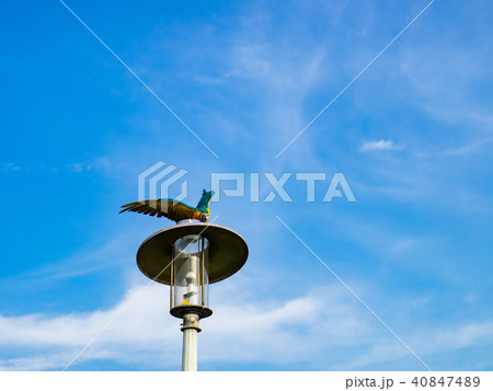 台湾 台北 台北市 40847489