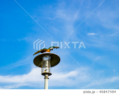 台湾 台北 台北市 40847494