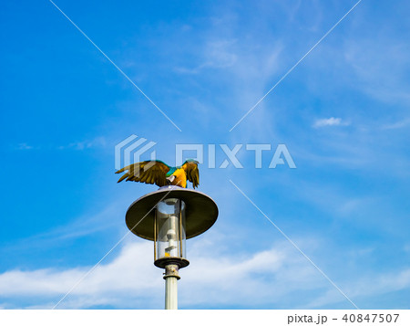 台湾 台北 台北市 40847507