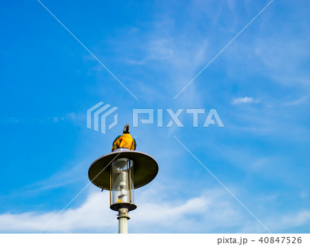 台湾 台北 台北市 40847526