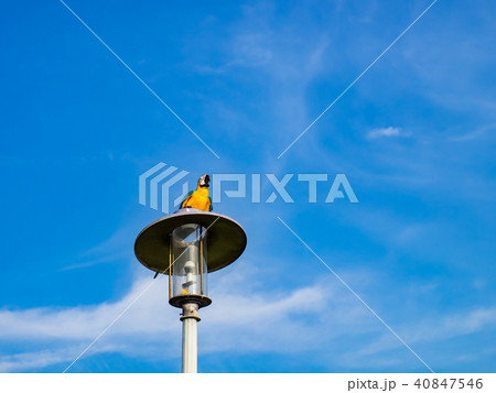 台湾 台北 台北市 40847546