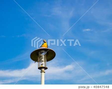 台湾 台北 台北市 40847548