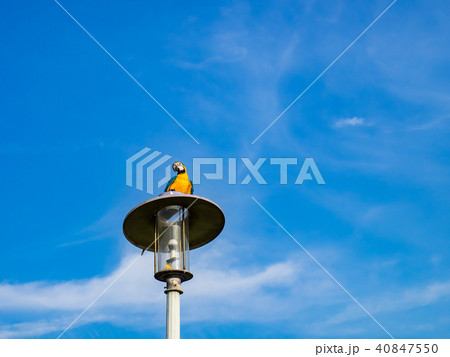 台湾 台北 台北市 40847550