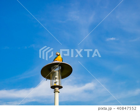 台湾 台北 台北市 40847552