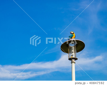 台湾 台北 台北市 40847592