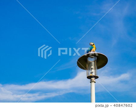 台湾 台北 台北市 40847602