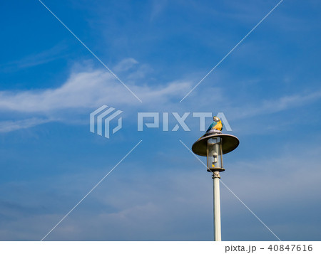 台湾 台北 台北市 40847616