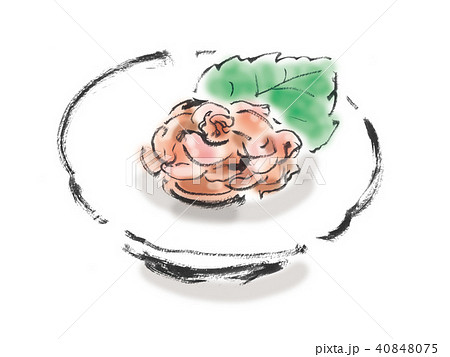 イカの塩辛 40848075