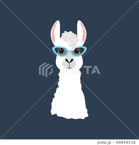 Llama in cateye glasses 40849558