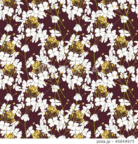 Watercolor horseradish flowers. Seamless pattern. Botanical illustration of organic, eco plant 40849975