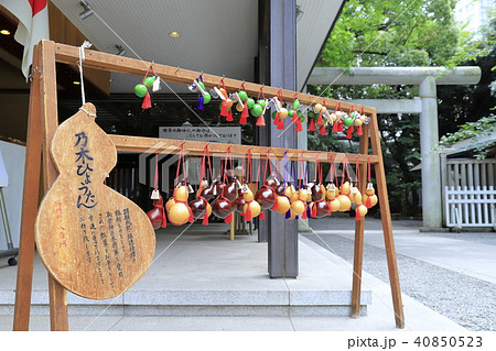 乃木神社　赤坂王子稲荷神社　東京都港区 40850523
