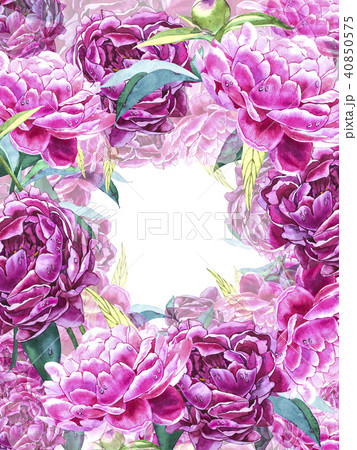 Natural pink peony background. Frame of red and pink peony, watercolor illustration. Natural pink peony background. Frame of red and pink peony, watercolor illustration. 40850575