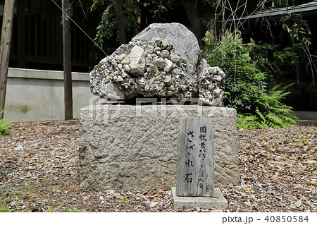 乃木神社 拝殿横のさざれ石 東京都港区の写真素材