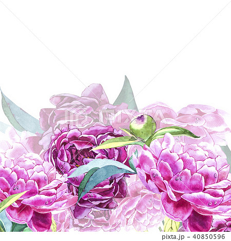 Vintage peony template. Watercolor illustration. Design elements for cards, invitations and textile Vintage peony template. Watercolor illustration. Design elements for cards, invitations and textile 40850596