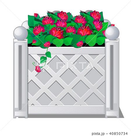 Decorative fence with red flowers. Vector illustration. Decorative fence with red flowers. Vector illustration. 40850734