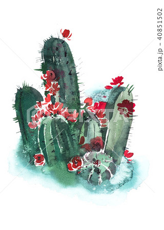 Watercolor hand drawn spiky cactus bloom flower. Watercolor hand drawn spiky cactus bloom flower. 40851502