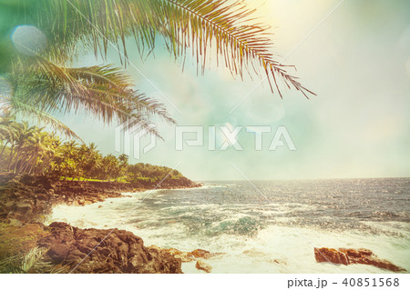 Hawaiian beach Hawaiian beach 40851568