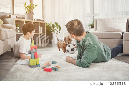 Joyful family having fun with pet in house Joyful family having fun with pet in house 40856518