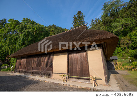 新緑の高麗神社　高麗住宅　埼玉県日高市 40856698