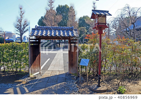 寛永寺 40856969