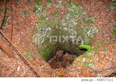 鳴沢の溶岩樹型 40857311