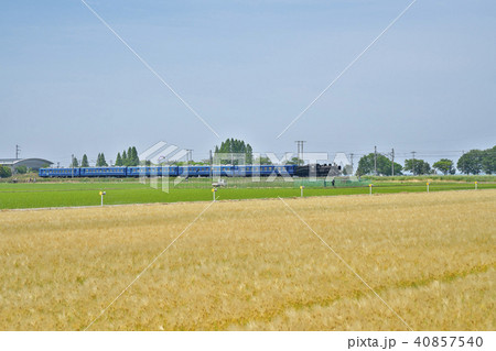 麦秋を行くSL 麦秋を行くSL 40857540