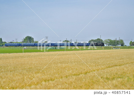 麦秋を行くSL 40857541