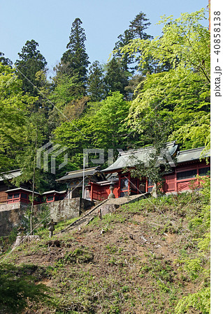 妙義神社 40858138