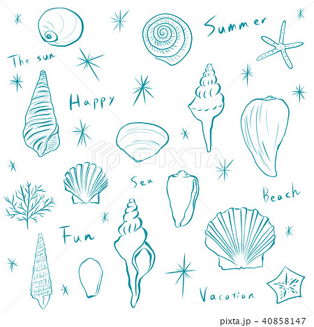 50 素晴らしいおしゃれ 海 貝殻 イラスト ただのディズニー画像