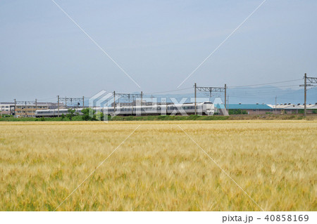 麦秋の特急しらさぎ 40858169