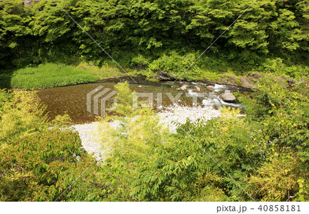 青梅線白丸駅と奥多摩駅の間を流れる春の多摩川(1) 青梅線白丸駅と奥多摩駅の間を流れる春の多摩川(1) 40858181