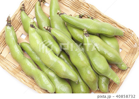 そらまめ そらまめ 40858732