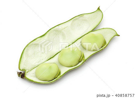 そらまめ 40858757