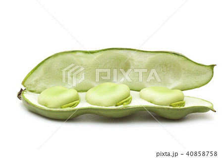 そらまめ 40858758