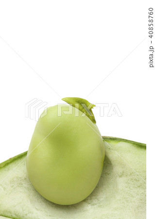 そらまめ 40858760