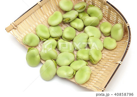 そらまめ そらまめ 40858796